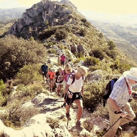 One Bed Apartment Overlooking Jalon Valley, Costa Blanca Alcalalí エクステリア 写真